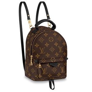 Louis Vuitton Palm Spring Mini Backpack